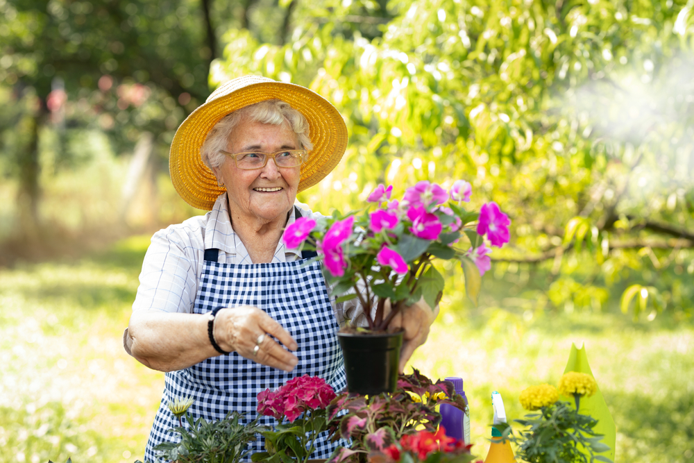 7 Spring Outdoor Activities For Seniors 